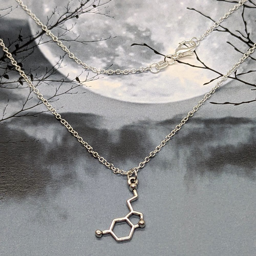 Silver Serotonin Chemical Molecule Necklace - Picture 2 of 6
